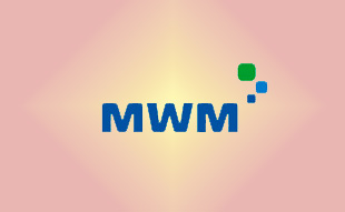 ✓ MWM 0338 1257 Запчасть MWM 